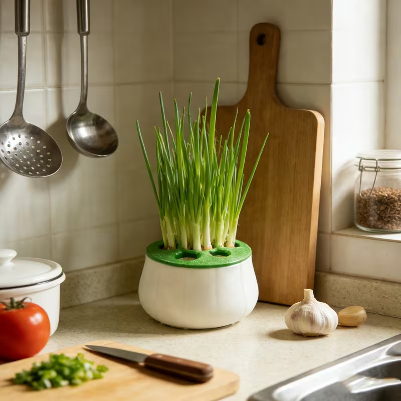 Green Onion Regeneration Plant - 3D Printing Online ulasan dan harga