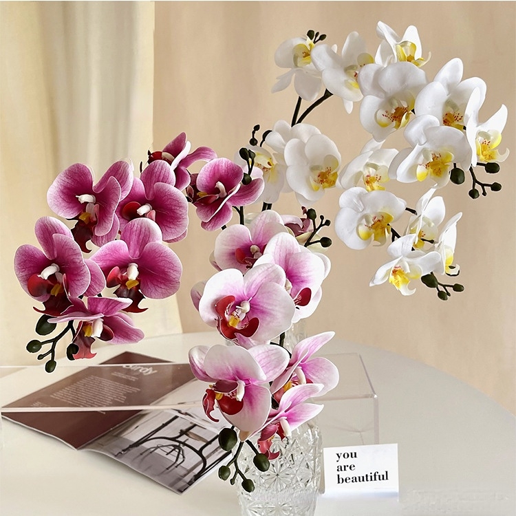 5Pc 3D Print Film Phalaenopsis - 3D Printing Ai ulasan dan harga
