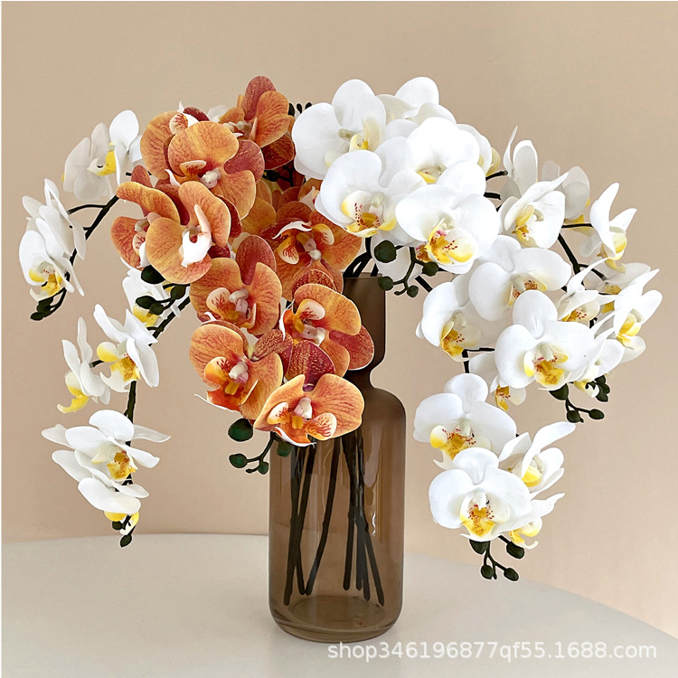 5Pc 3D Print Film Phalaenopsis - 3D Printing Ai ulasan dan harga