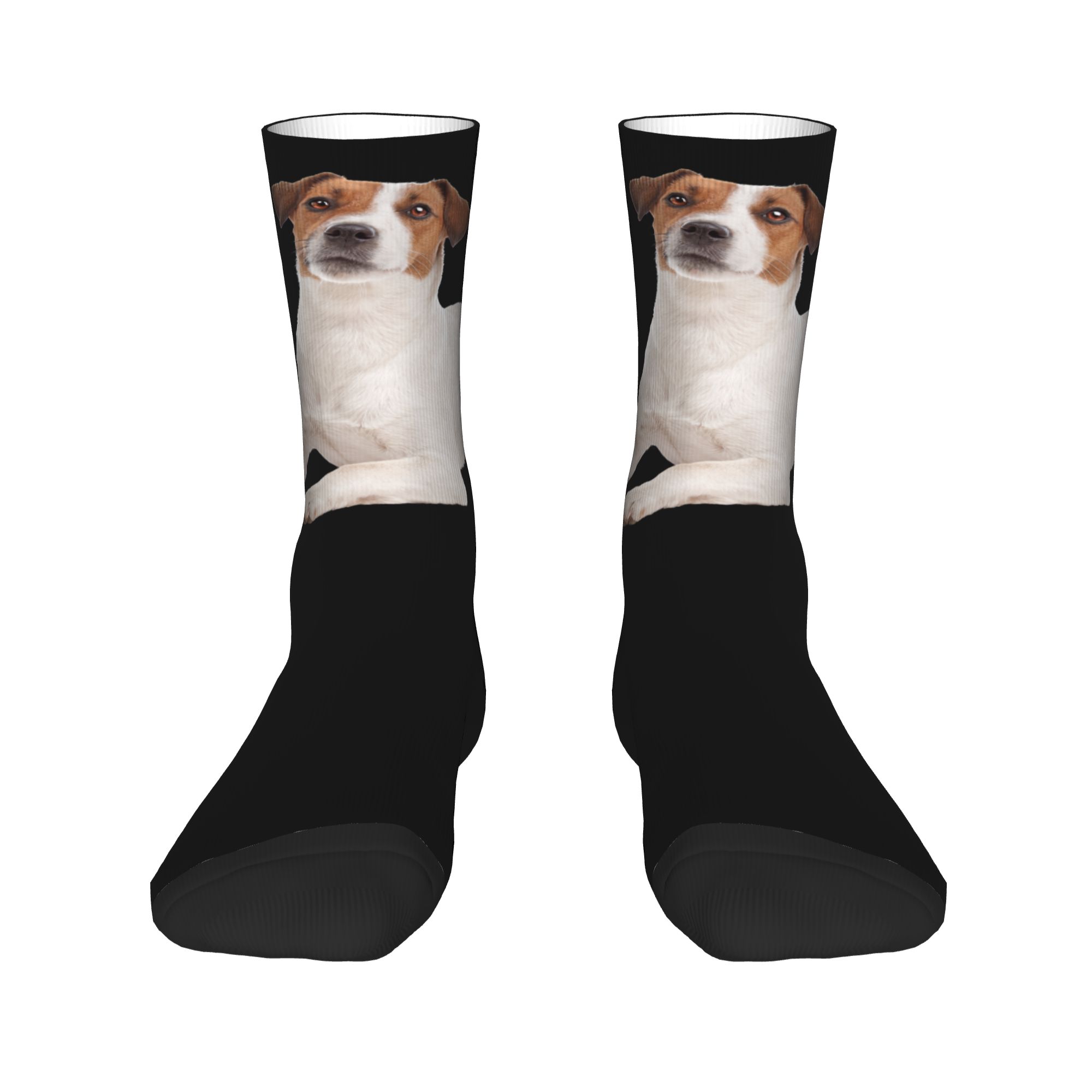 Custom Jack Russell Terrier Do - 3D Printing Youtube ulasan dan harga