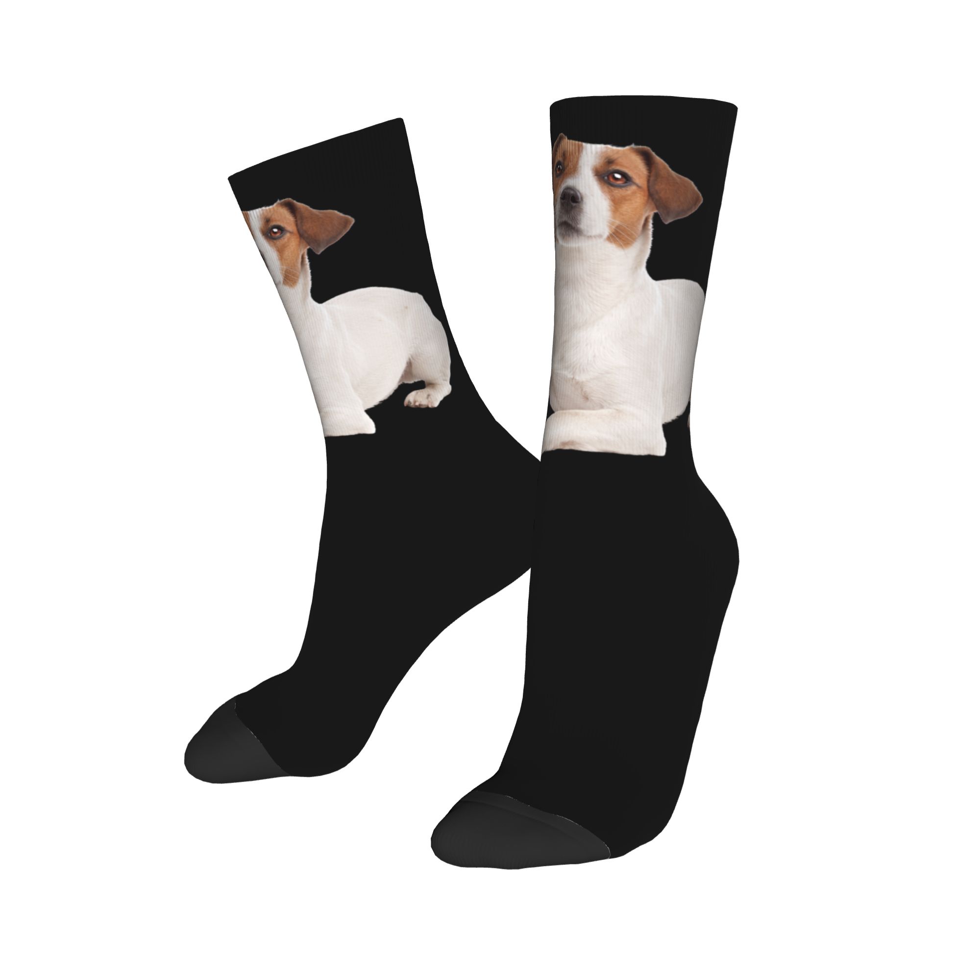 Custom Jack Russell Terrier Do - 3D Printing Youtube ulasan dan harga